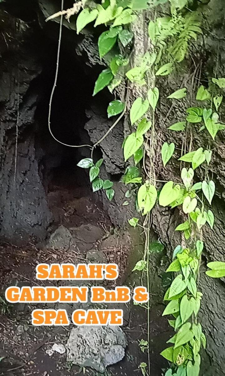 Sarah'S Garden Bnb & Spa Bed & Breakfast Clarin  Ngoại thất bức ảnh
